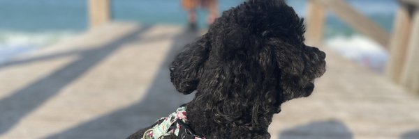 NahyrLugo Profile Banner