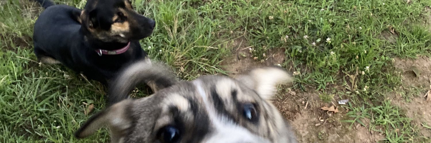 khood13's profile banner image