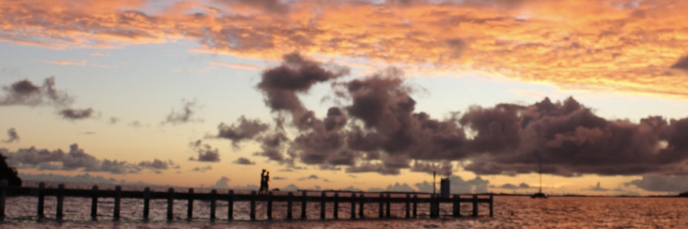 will_grs's profile banner image