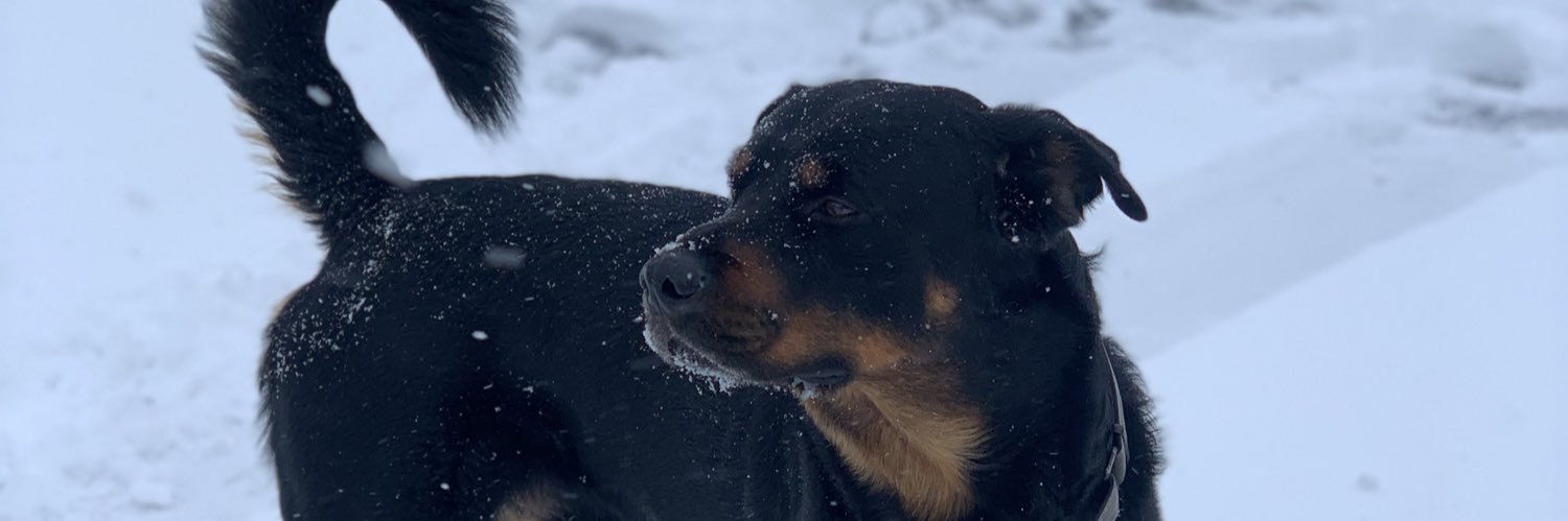 LawfulGoodGuy's profile banner image