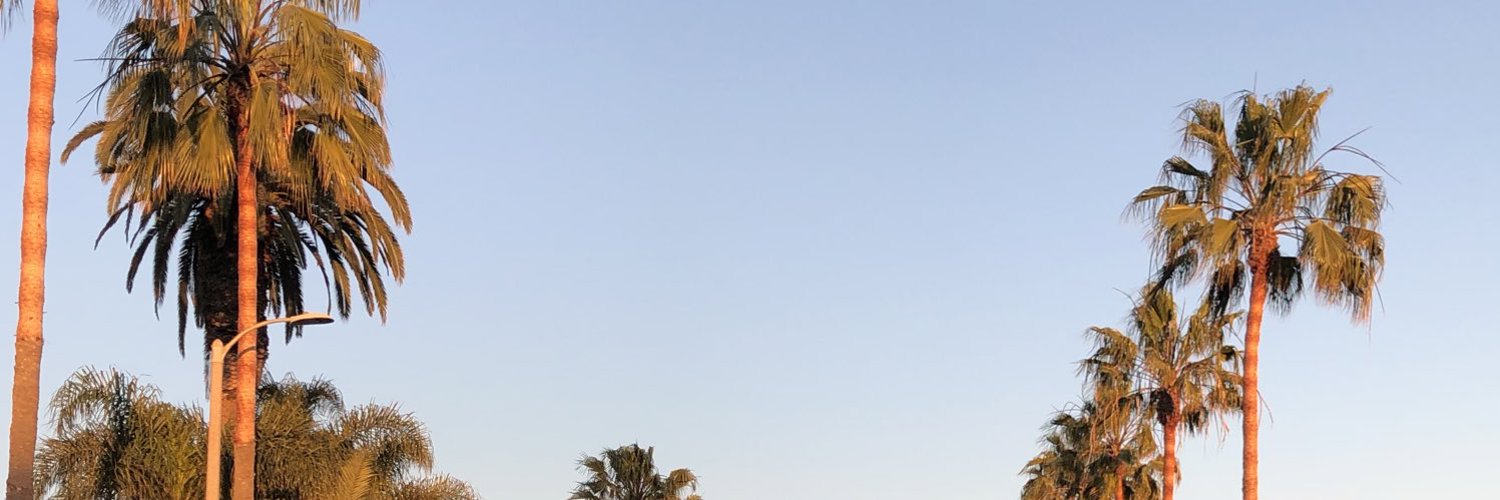 Anthony Lorenzo banner