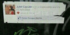 JuliaFMoraesC's profile banner image