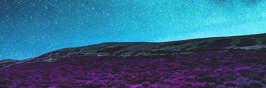 SJAscher's profile banner image