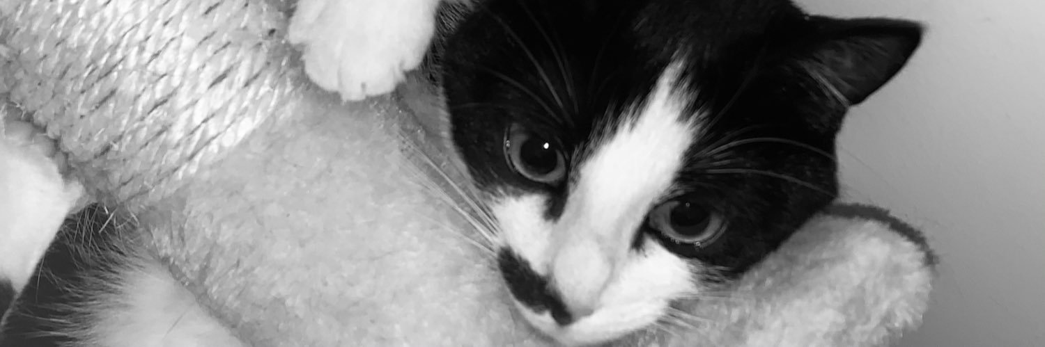 morganebizet's profile banner image