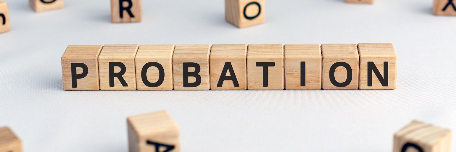 Probation - Incognito banner