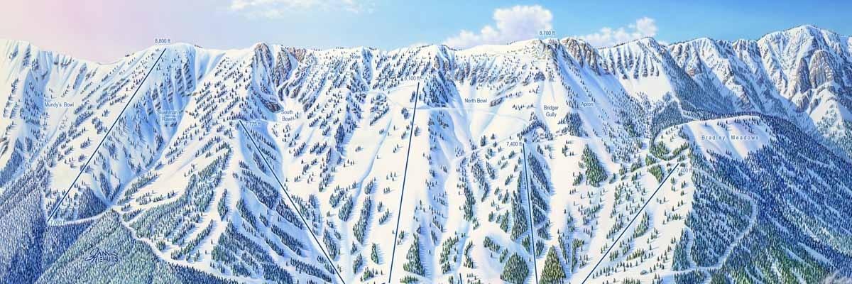 snowsAy's profile banner image