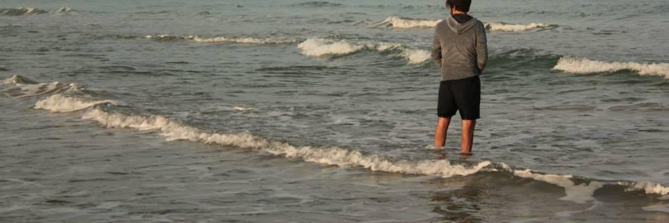 Enzo Petrillo banner