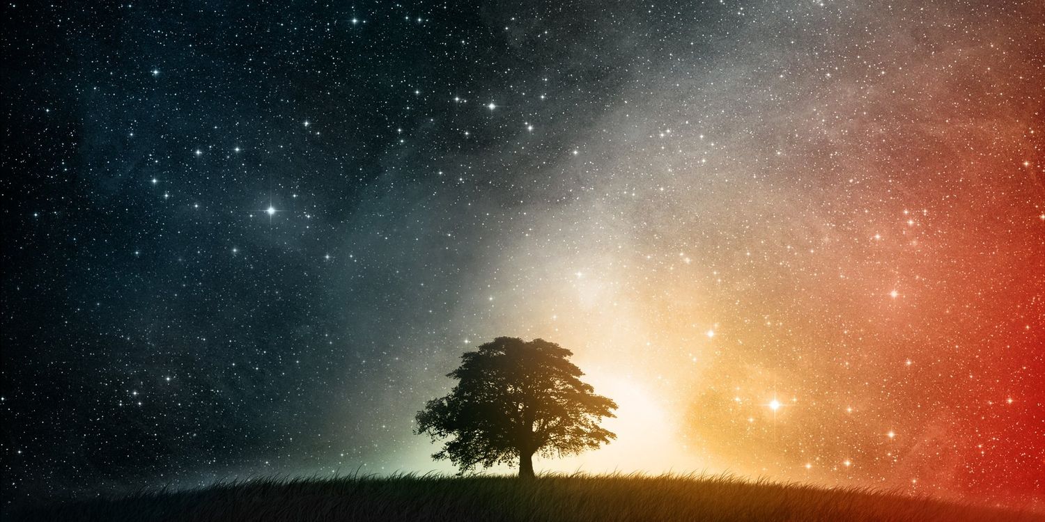 mikarogue's profile banner image