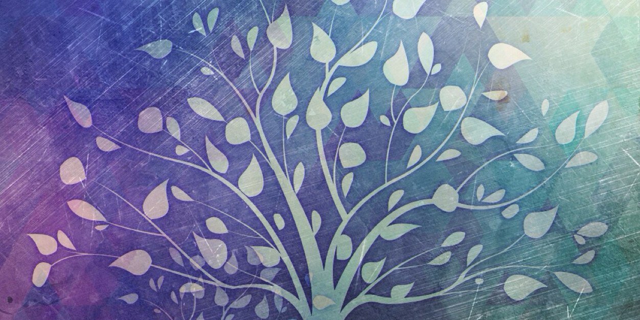 VanzzzB's profile banner image