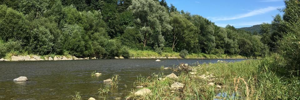 Ashe County Times banner
