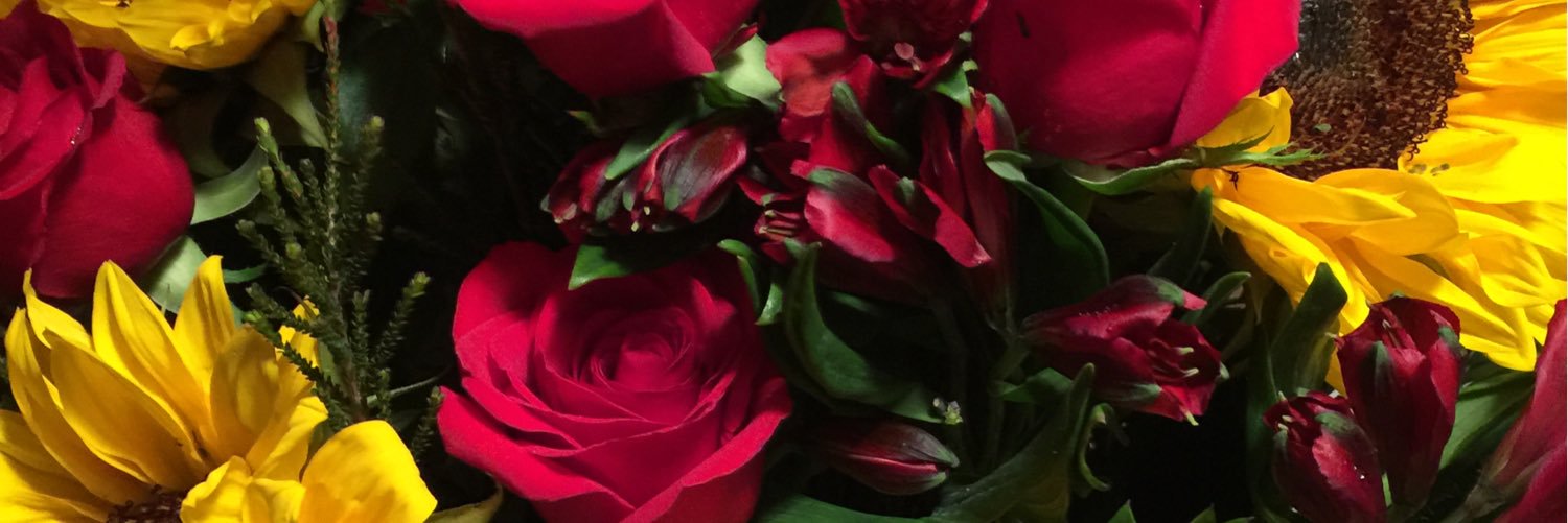 anav2166's profile banner image