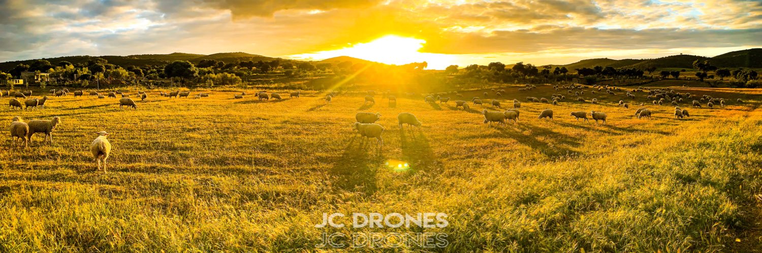 JCarlosCruzF's profile banner image