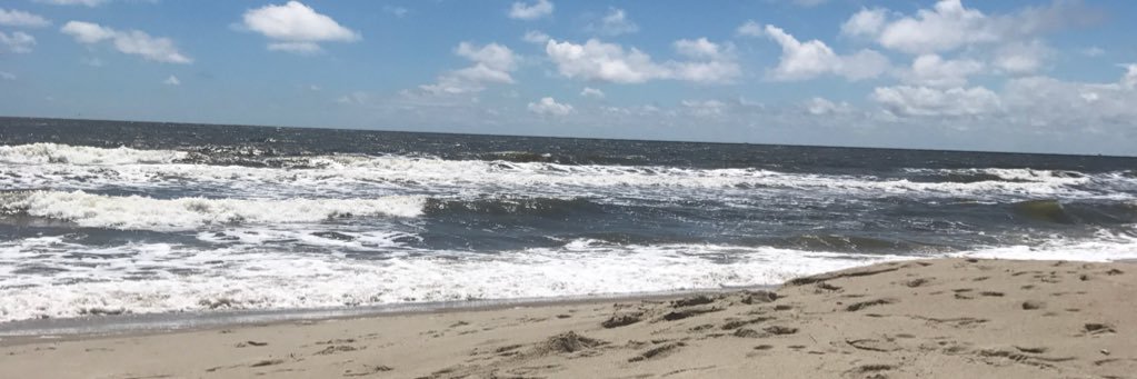 pkmerten's profile banner image