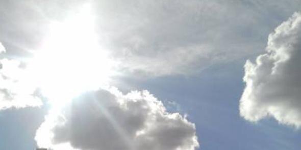 Alexandra Maiorano banner