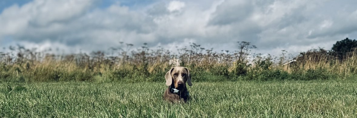 NaomiCh93's profile banner image