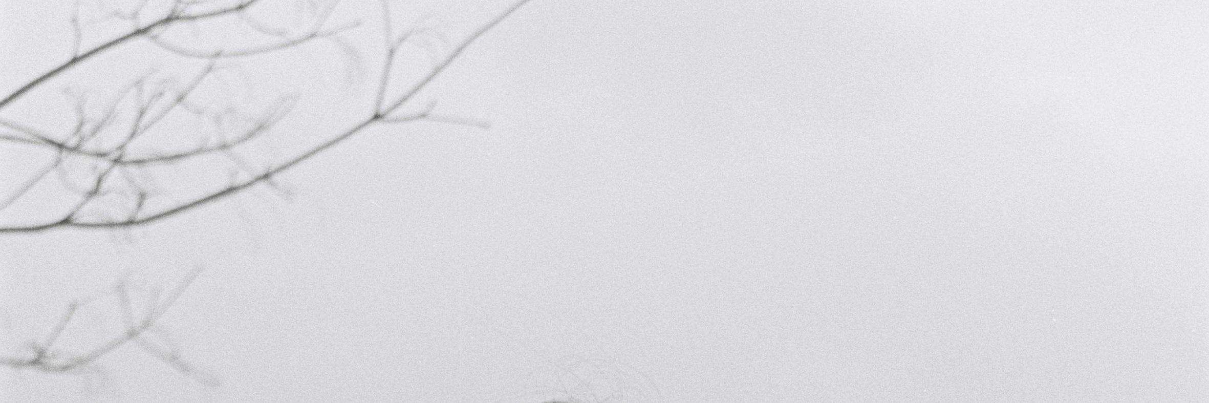 uchi001010's profile banner image