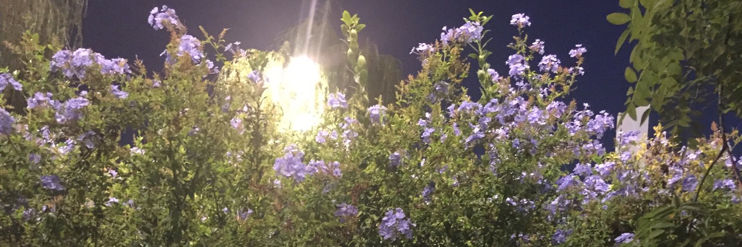 mariaseyi_'s profile banner image
