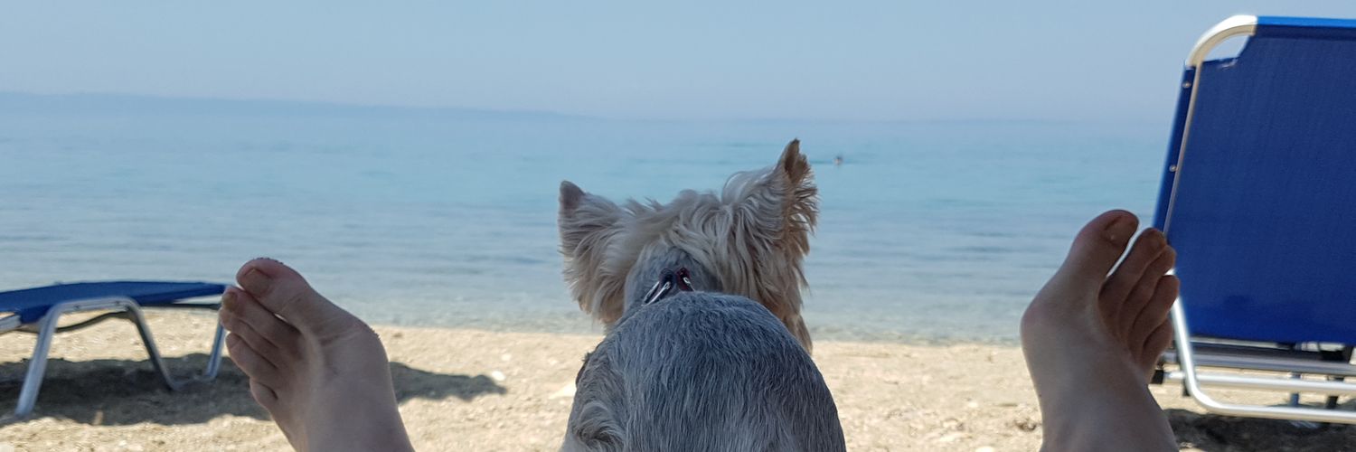 mUzelac's profile banner image