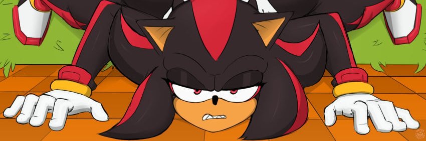 SetRuks's profile banner image