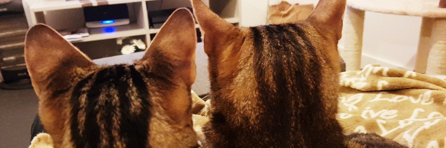 laurz321's profile banner image