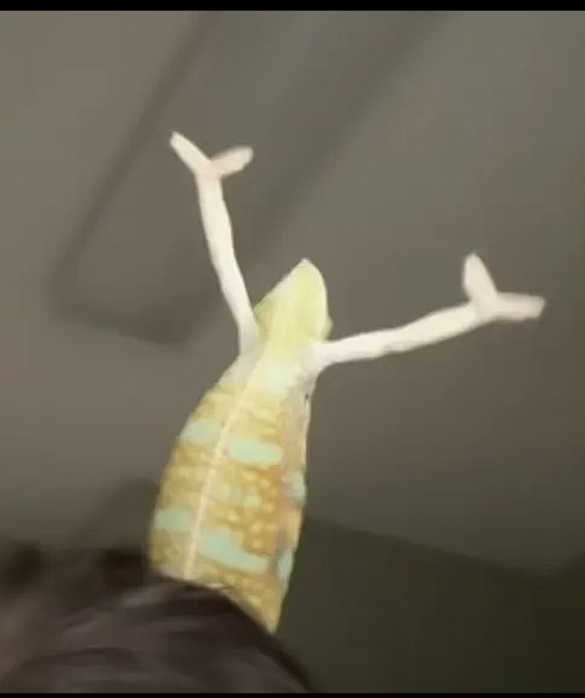 bigsaveaj's profile banner image