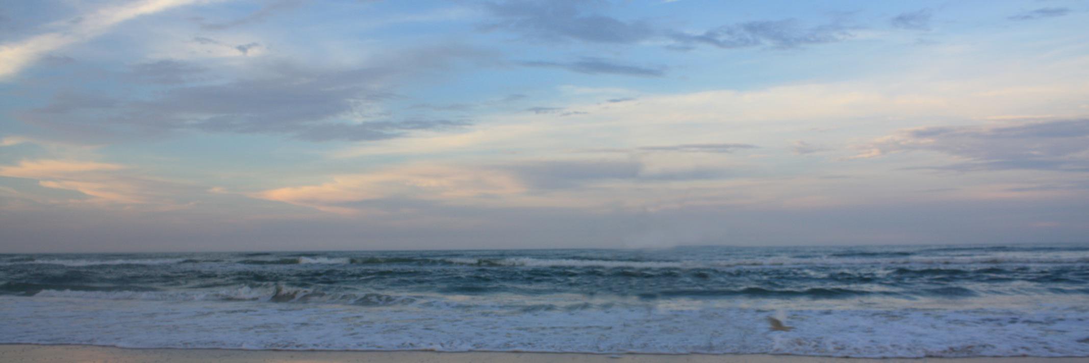 HoppyWesley's profile banner image