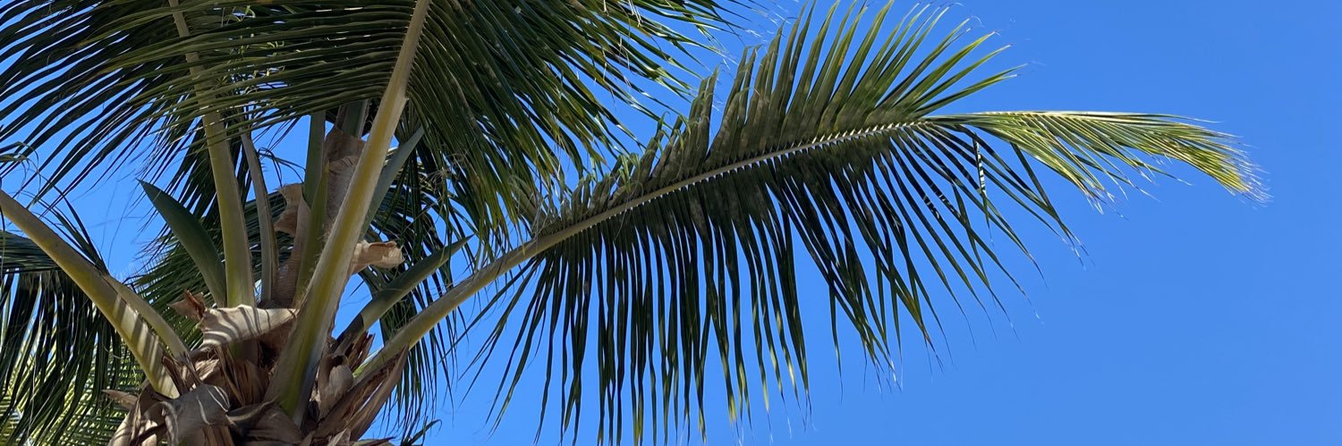 ouuss_b's profile banner image
