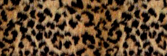 RachelCarter_83's profile banner image