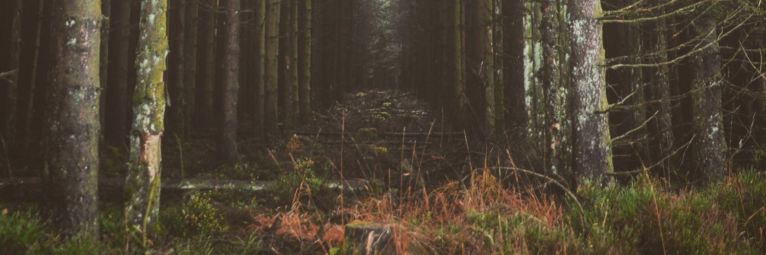 Marcus_Merchant's profile banner image