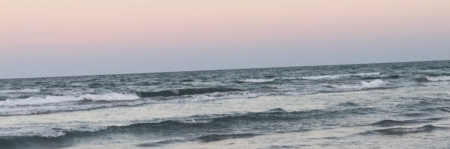 evin_pollitt's profile banner image