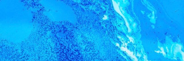 Zetramob's profile banner image