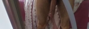 yunkis's profile banner image