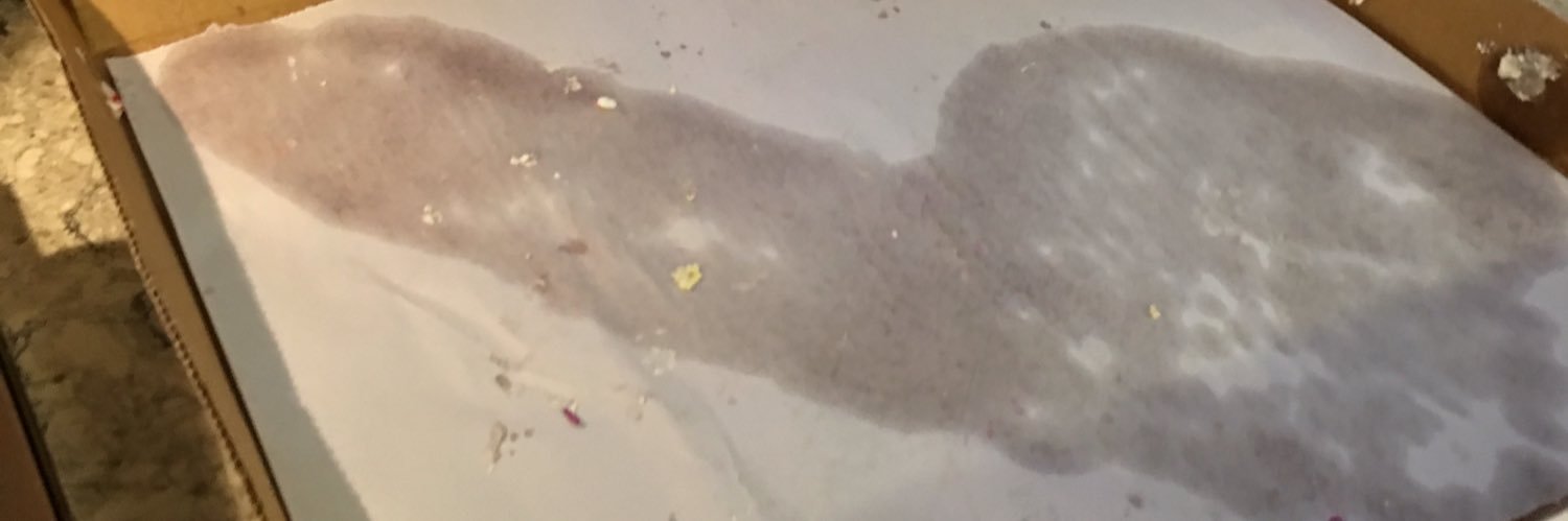 Mudman2255's profile banner image
