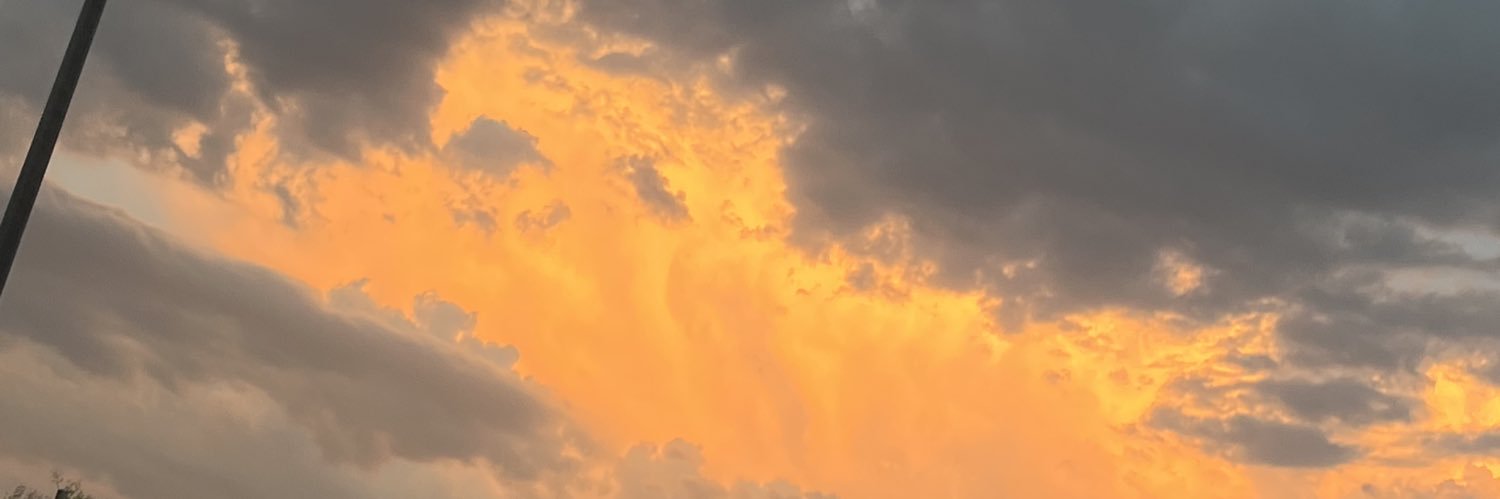 TheSrMickey's profile banner image