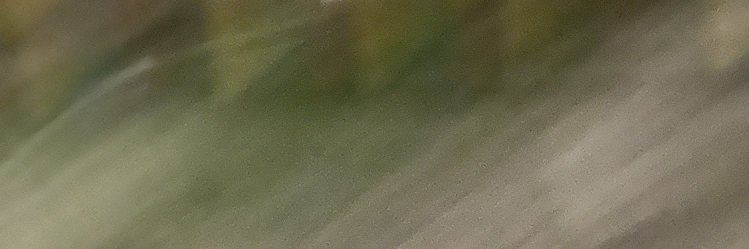 StephLacitis's profile banner image