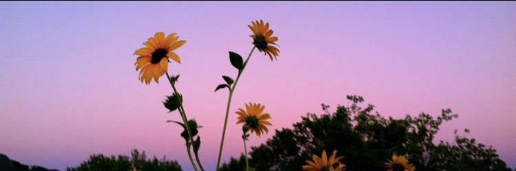 GalbanJuuli's profile banner image