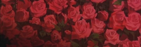 ako_hae's profile banner image
