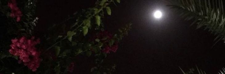 SHD1ll's profile banner image