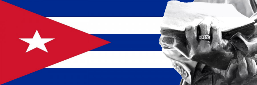 Dr C José Ramón Cabañas Rodriguez's banner