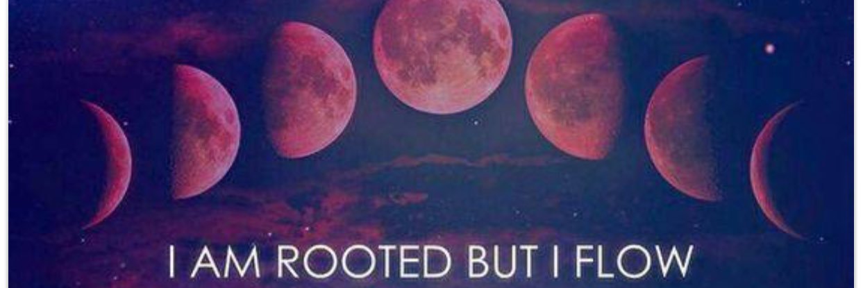 PCut10's profile banner image