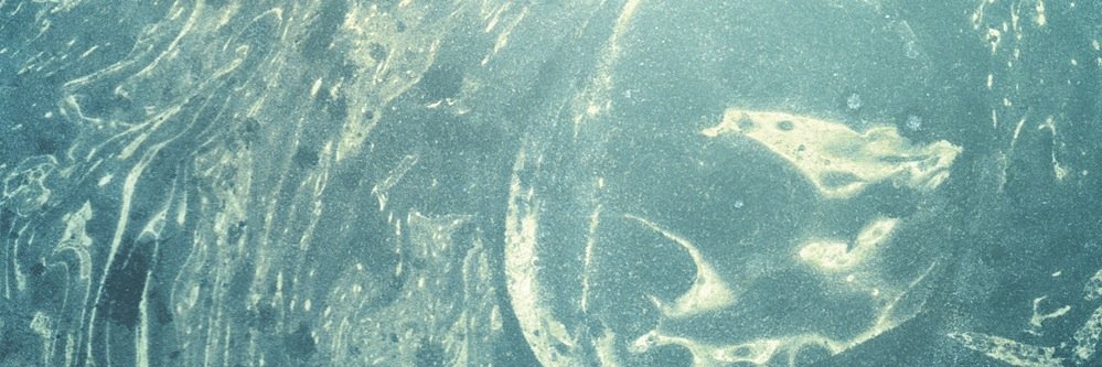 Phonosaurus Records banner