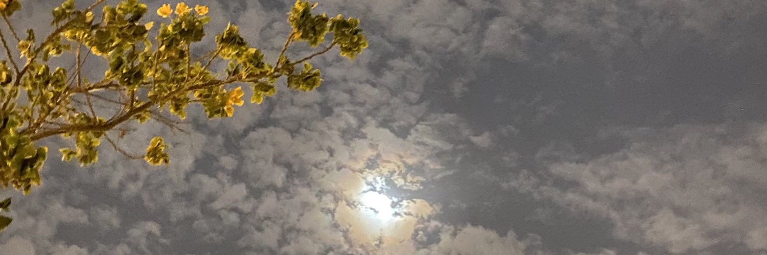 AlzomanLayan's profile banner image