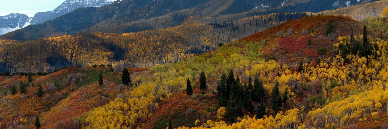 CCL Wasatch Back banner
