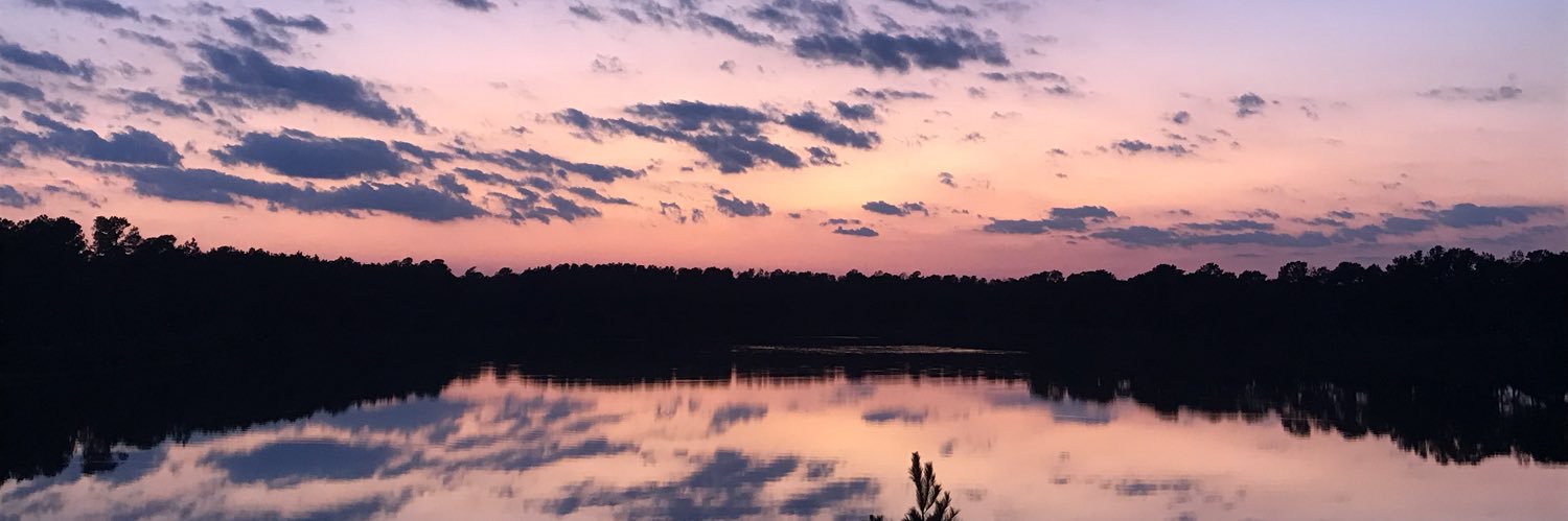 aslicesmithlife's profile banner image