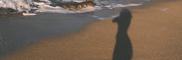miss_poodle95's profile banner image