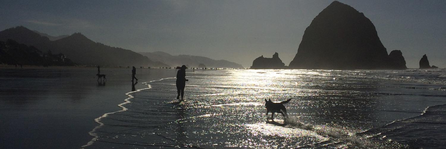 oliviaor29's profile banner image