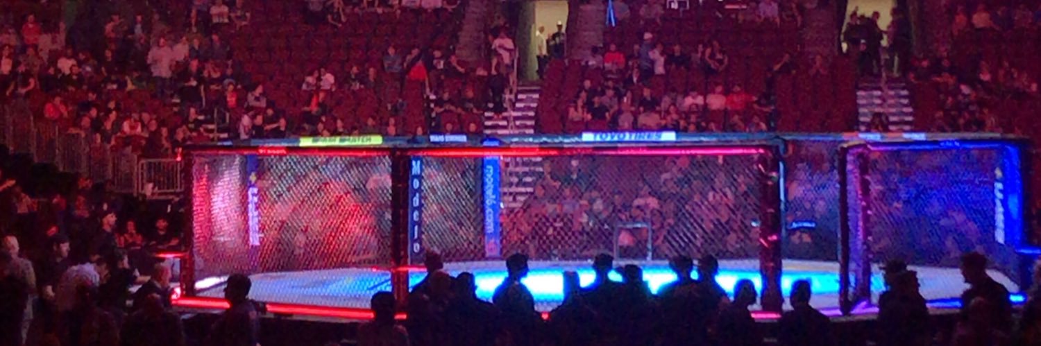 FightleteReport's profile banner image