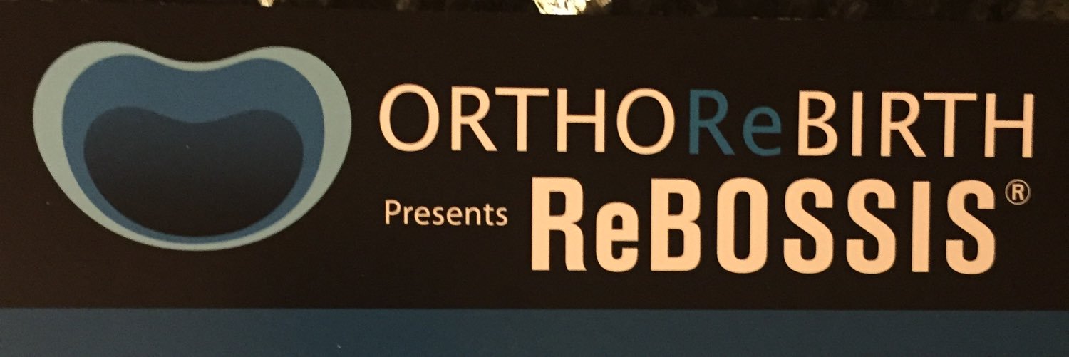 ReBOSSIS's profile banner image