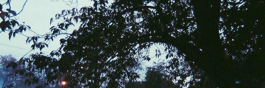 bustersvvord's profile banner image