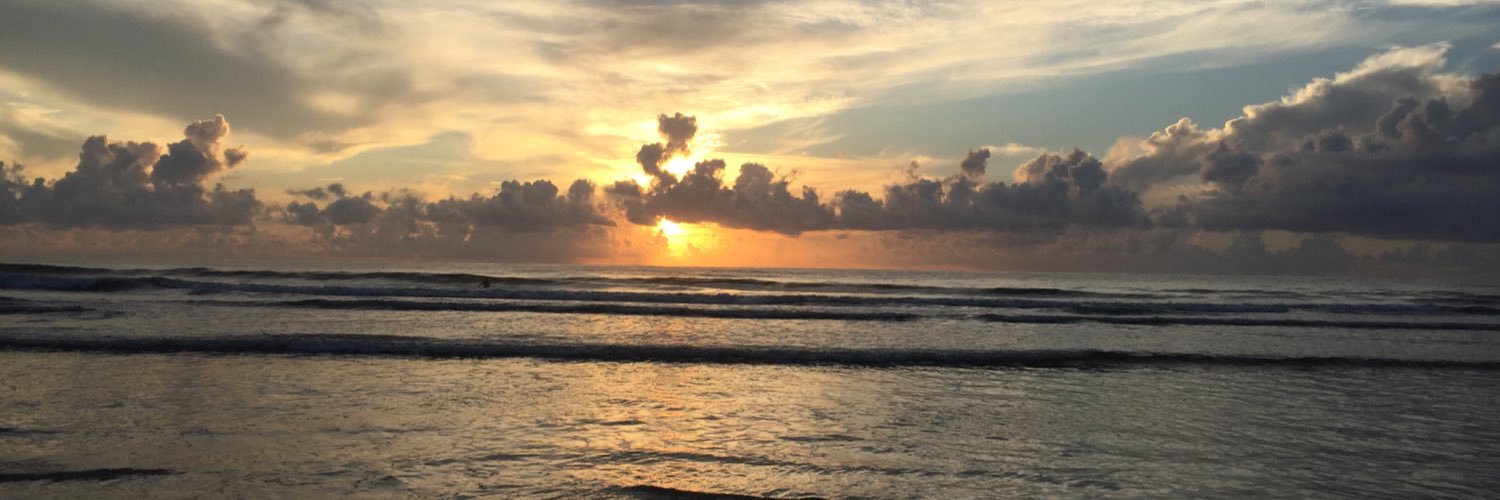 dolphindan1025's profile banner image